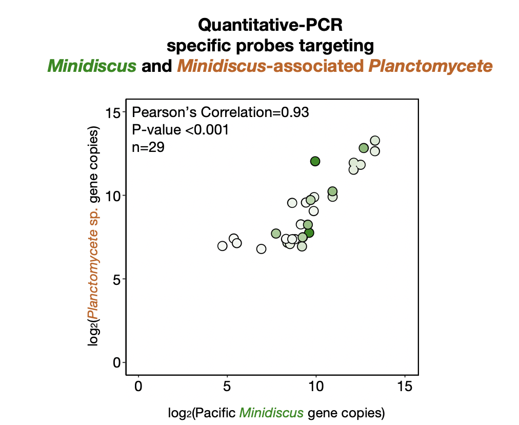 qpcr results plot